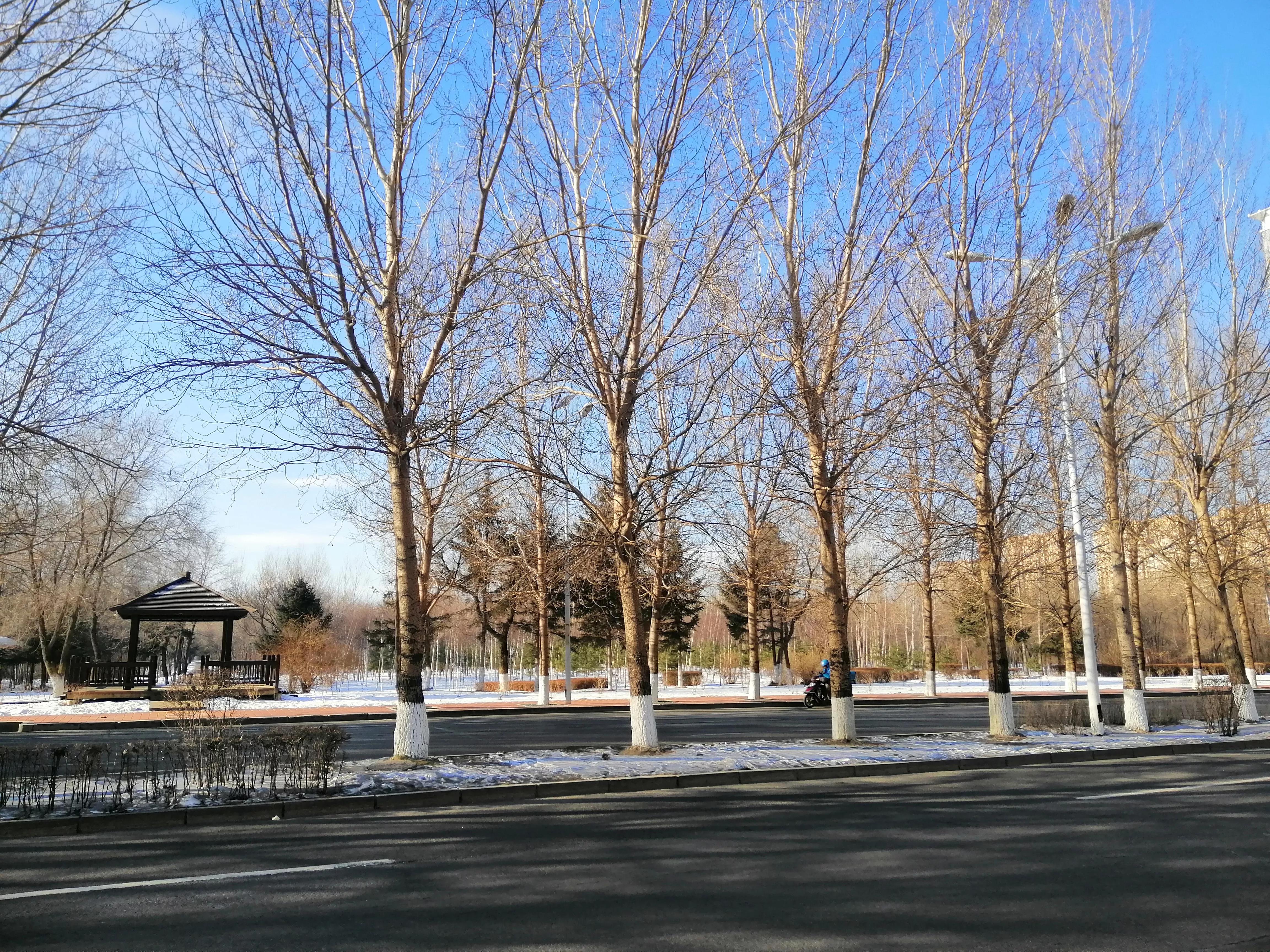 五婶死亡原因,五婶去世了视频