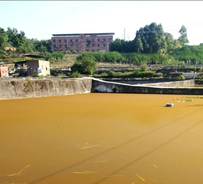 养殖塘水锈,养殖水有锈