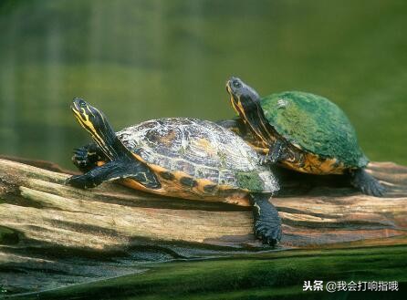 周公解梦大全查询梦到遇到麻烦,周公解梦梦到上料