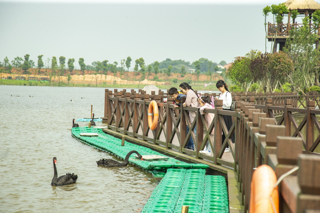 长沙洋沙湖湿地公园,湘阴洋沙湖五一活动