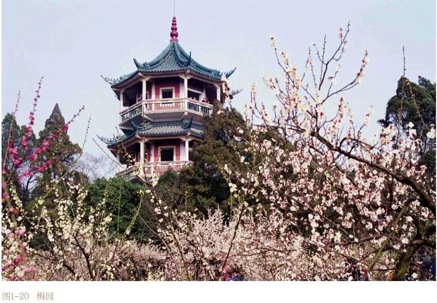 无锡孙志亮,孙志亮无锡