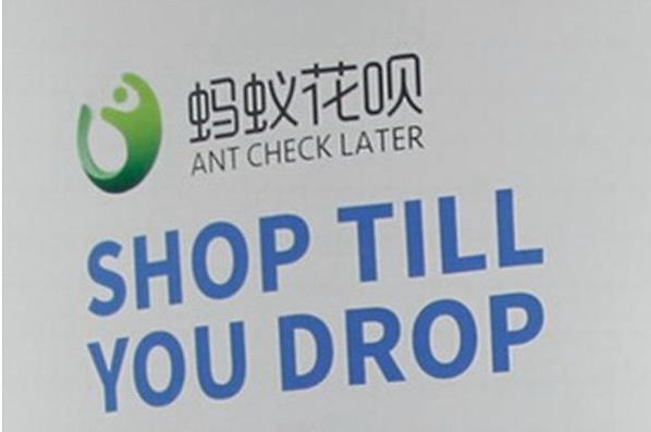 花呗应该提前还还是按时还,花呗剩余未还转入下月怎么提前还