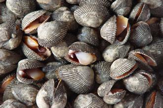 中国城市辽宁,辽宁省大连城市介绍