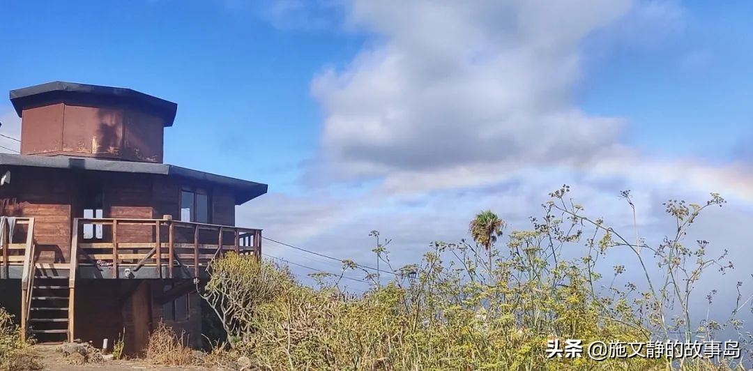 人生只活一次,人只活一次活成自己想要的样子