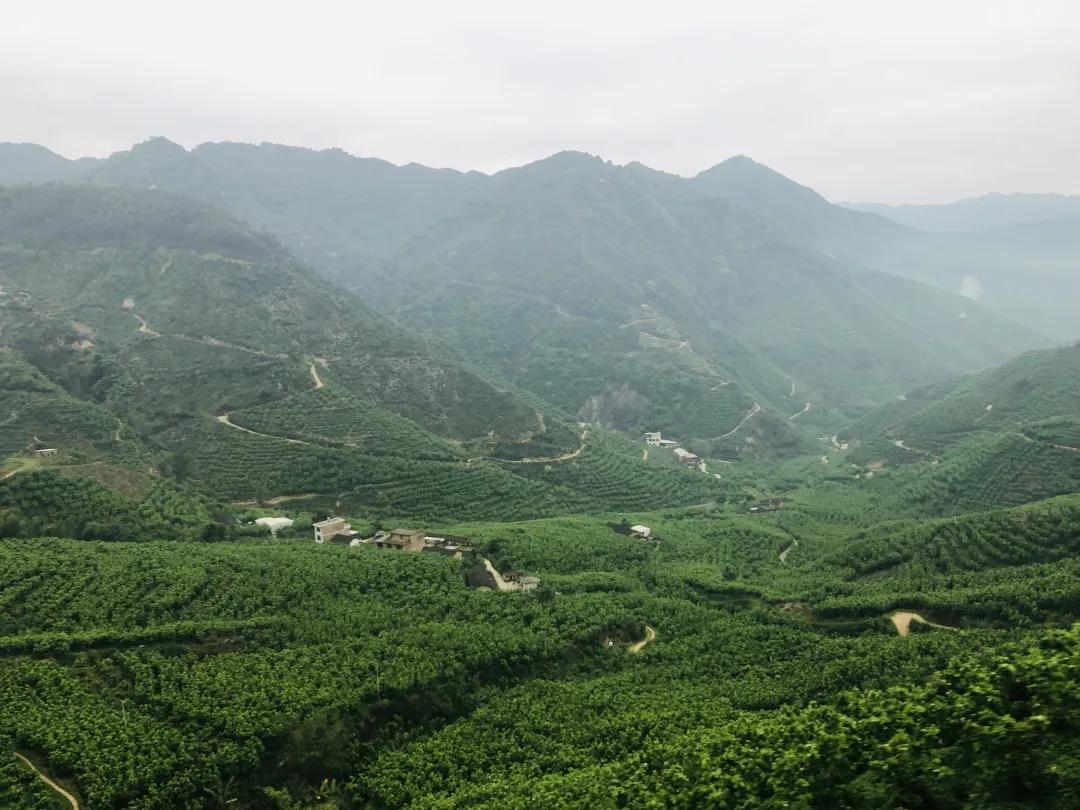 福建人游福建|厦航国旅首发团，邀您一起共赏好*光春**