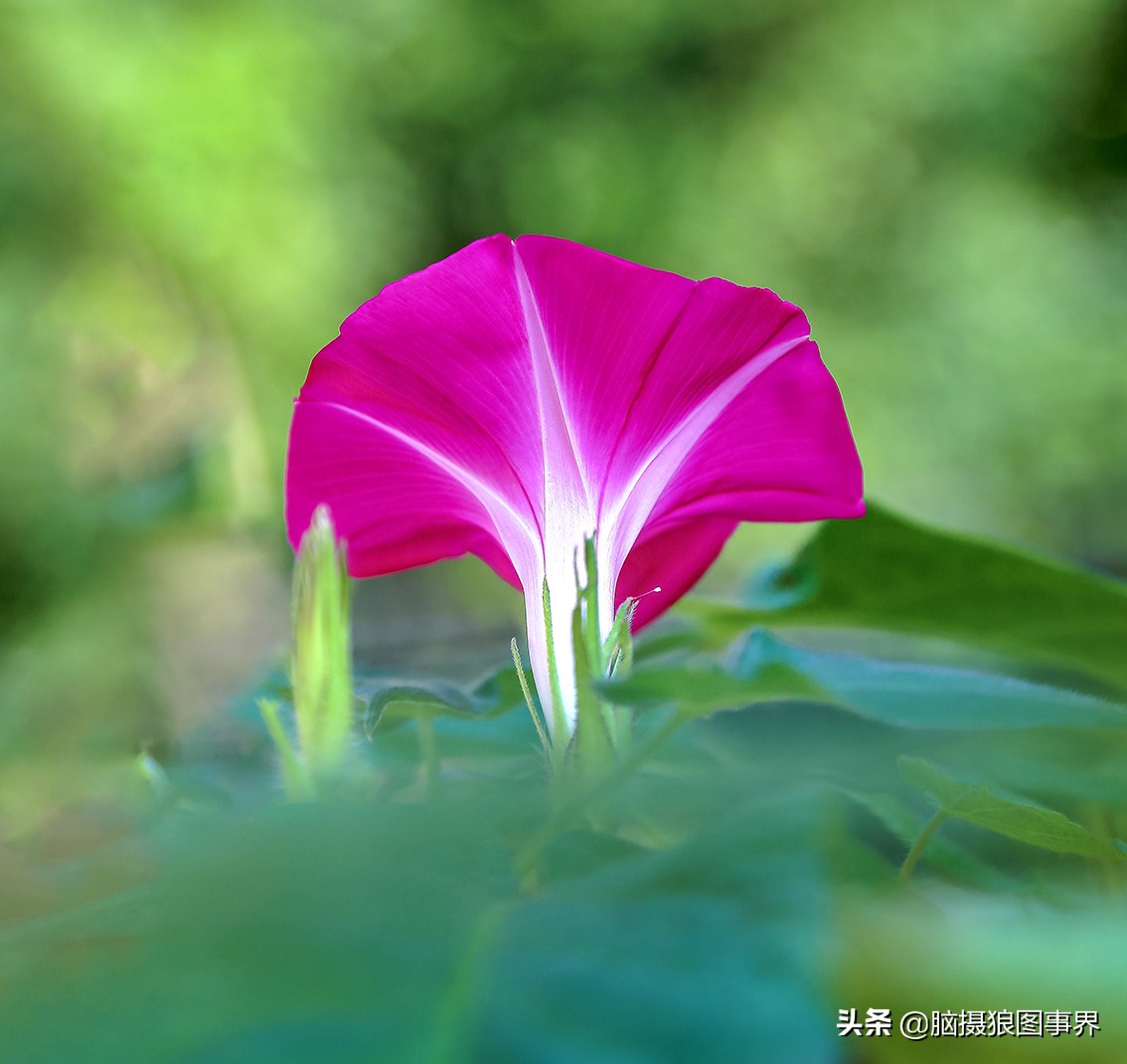 佳能6d现在有新的吗,佳能6d相机寿命多少时间