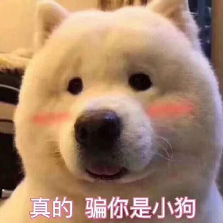 跟直男谈恋爱是种怎样的体验,直男和直男交朋友会怎么样