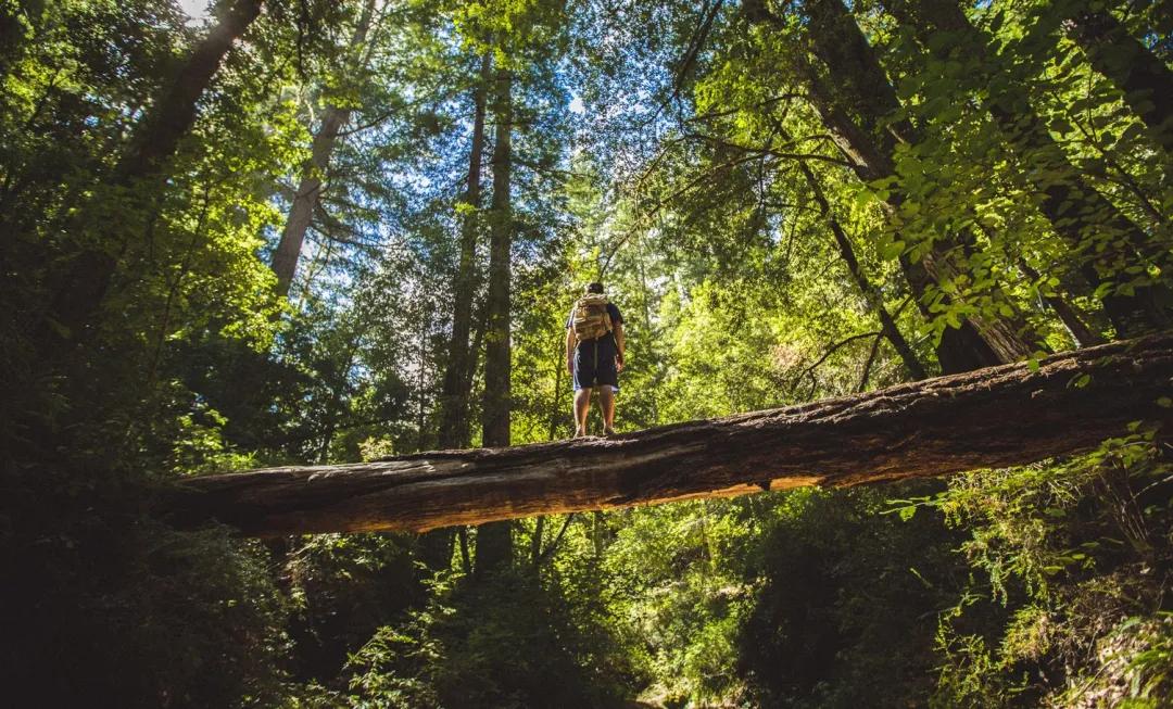 美国圣何塞风景确实优美空气宜人,圣何塞自然风景