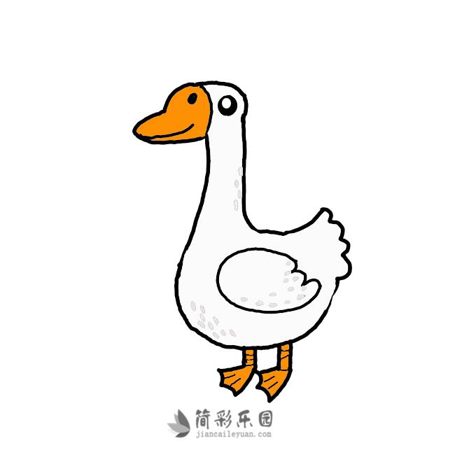 绘画鹅简笔画,鹅简笔画步骤