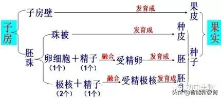 陕西2022初中生物会考知识点,初中生物会考知识点总结doc