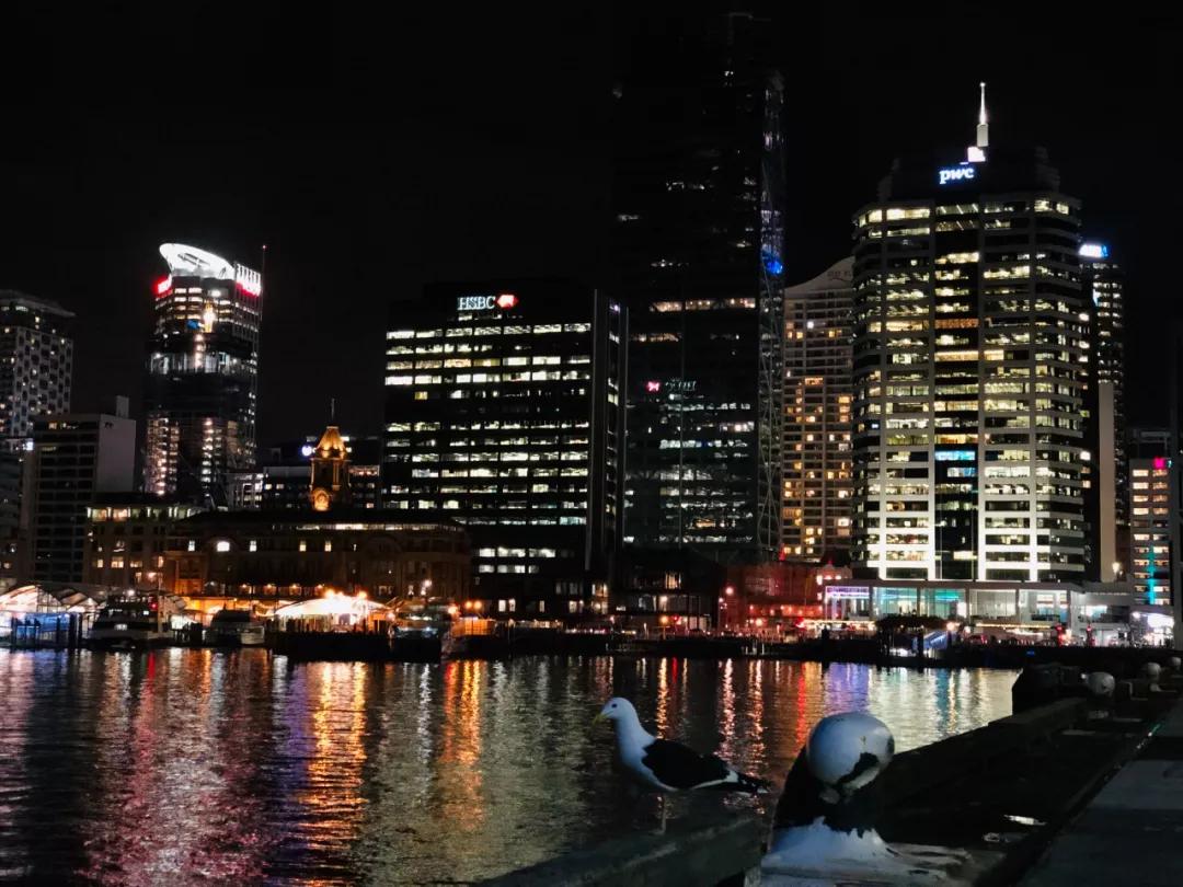 奥克兰旅居生活,新西兰打工旅行每日一记