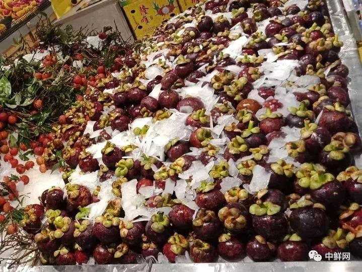 山竹教程完整视频,山竹运输怎么保新鲜