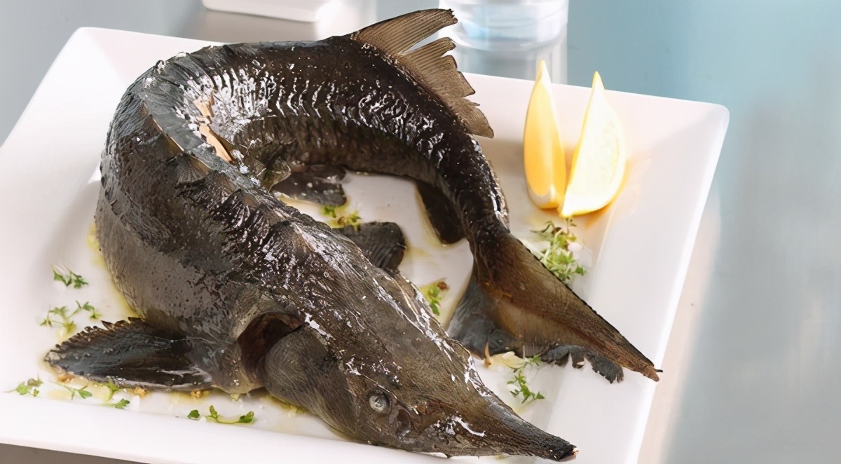 世界上最美味的10种鱼