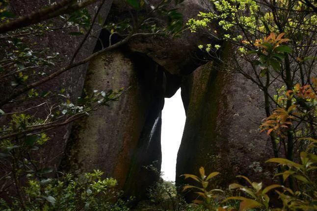 在十八股头山寻找“十二股头”