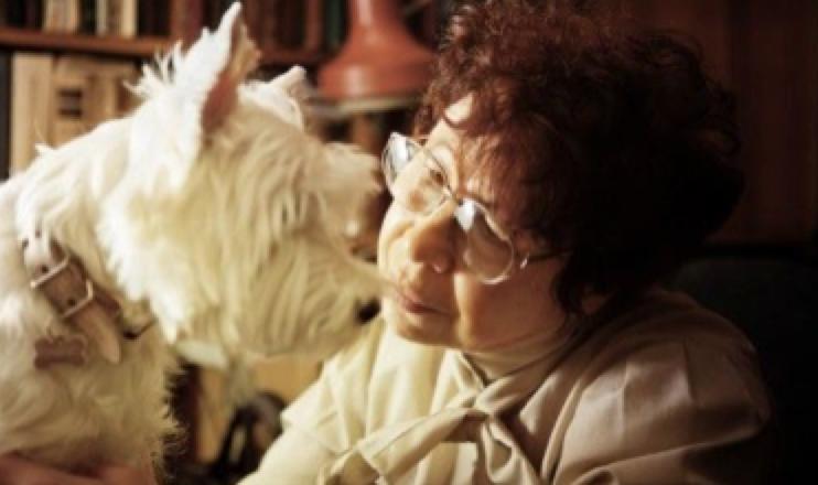 有良心的宠物医生,什么都能治的宠物医生