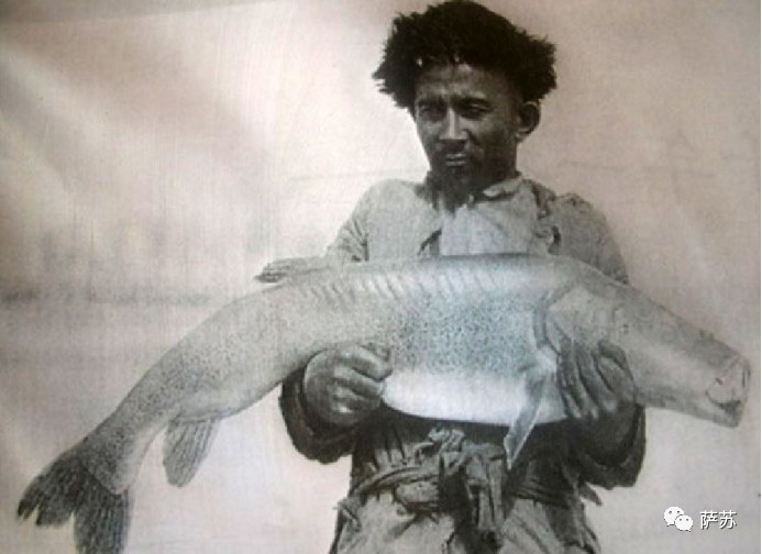 鎭愰緳鏃朵唬鏈夋矙婕犱箞,鎭愰緳鍙插墠鏃朵唬娌欐紶