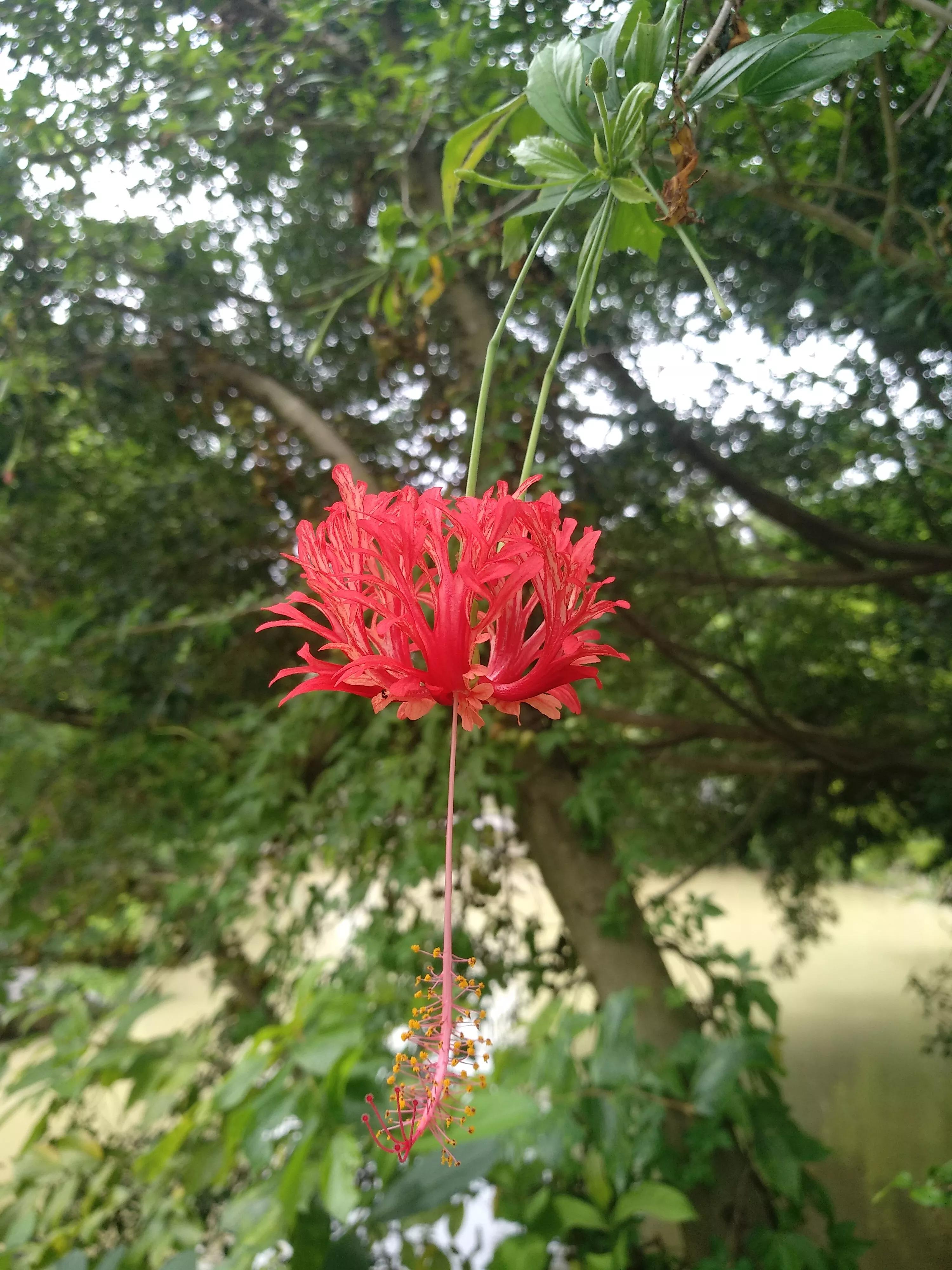 高考后想学临床医学,高考后想学中医