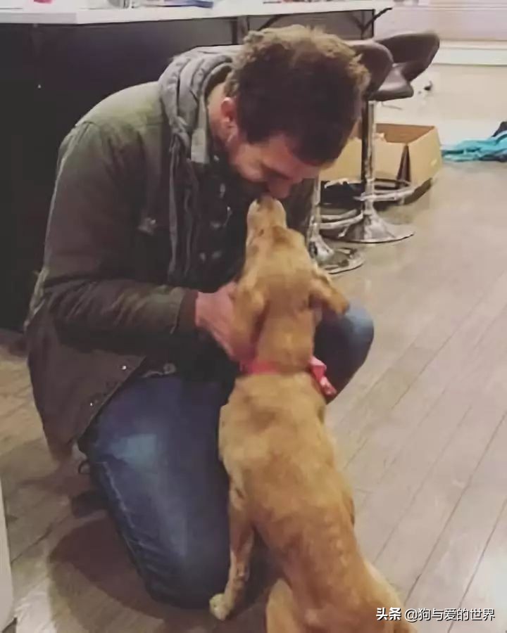 鏅氫笂瀹堕噷杩涗簡涓嶆槑鐢熺墿,鐢峰瓙鍗婂鍥炲閬囦笂涓嶆槑鐢熺墿