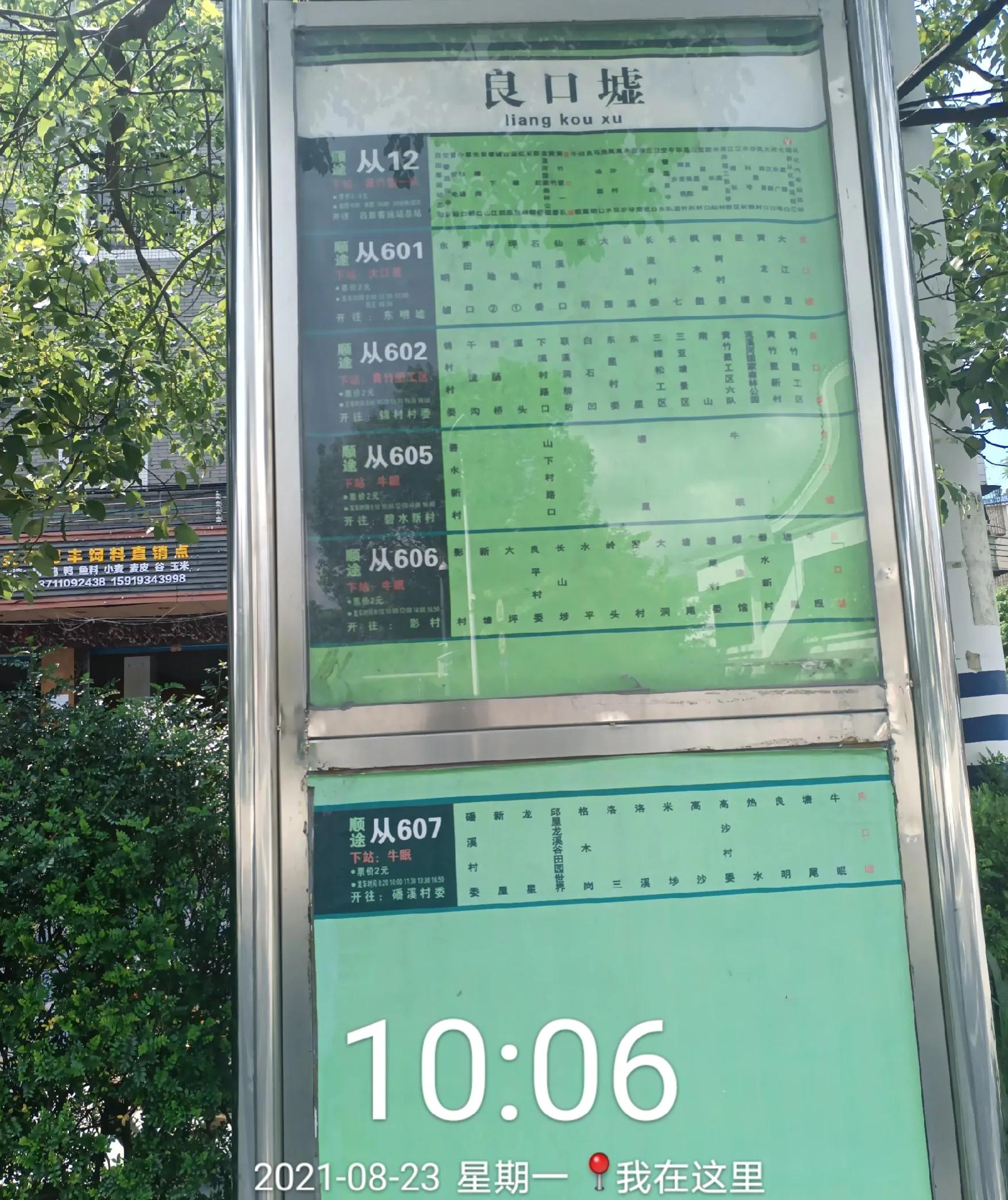 乘公交去乡下:广州海拔最高的村落-阿婆六村