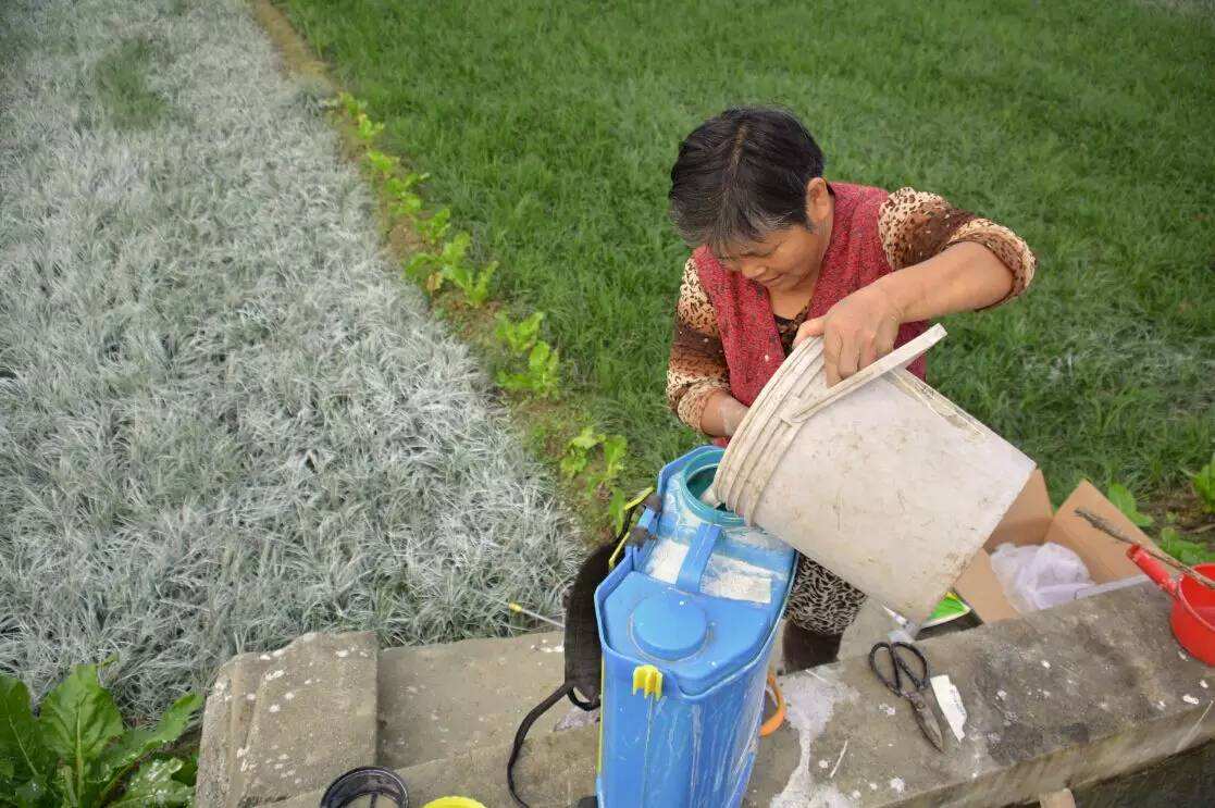 磷酸二氢钾溶解慢是正品还是假货,磷酸二氢钾在水中多长时间溶解