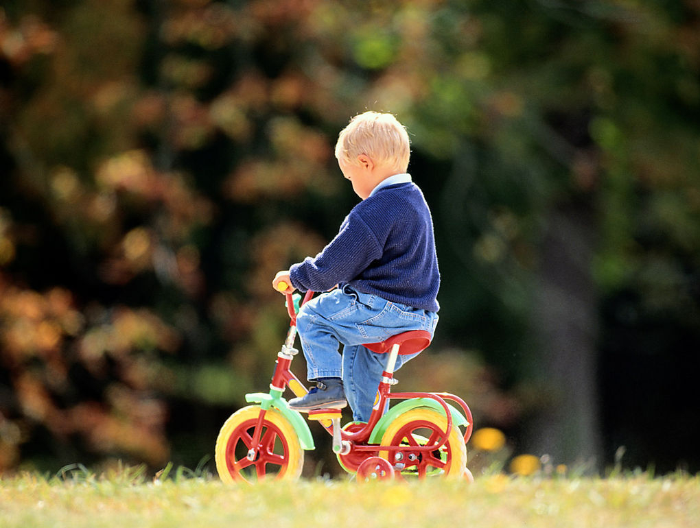 两岁多的宝宝耳朵进虫有什么症状,2岁宝宝耳朵进小麦了怎么办