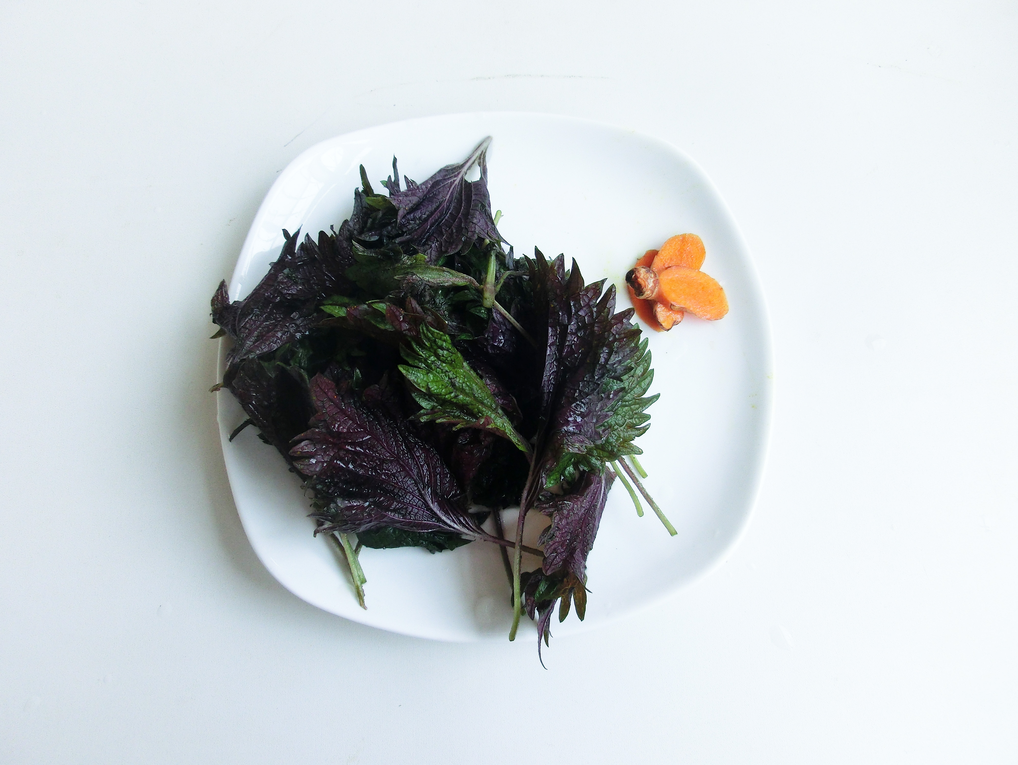 夏季上火吃些什么菜,老人冬季上火了吃什么降火最快