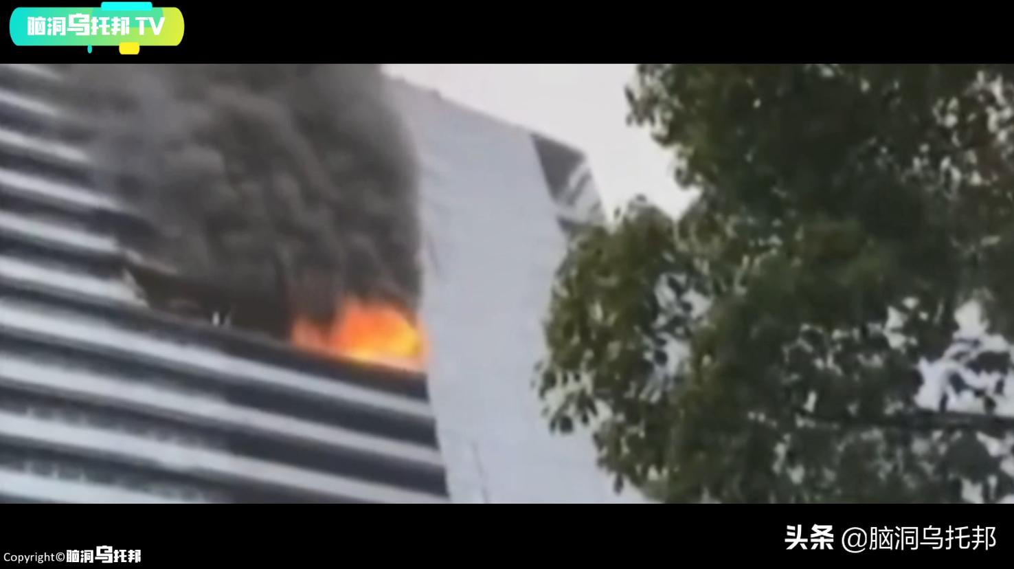 林生斌各大网红发声,林生斌网红发声