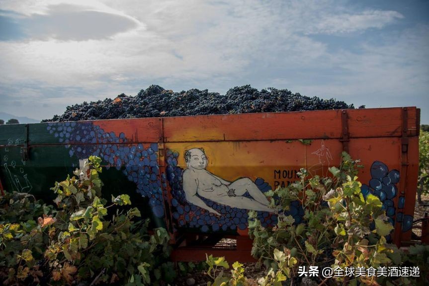 法国葡萄园工人收入,在法国葡萄酒厂打工赚钱吗