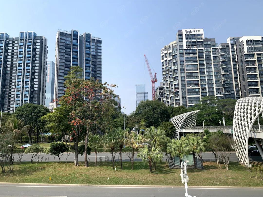 深圳学区房怎么申请学位,深圳学区房最新学位政策