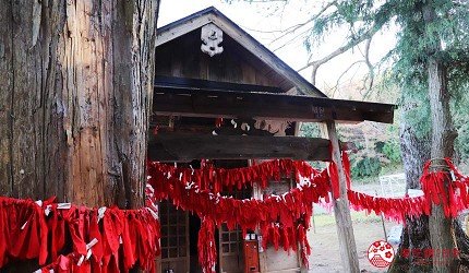 日本岩手县观光攻略,日本岩手县怎么样