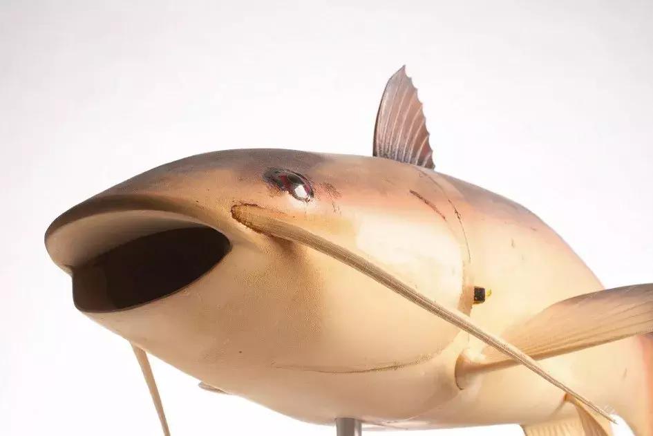 间谍的暗器,间谍暗器大全