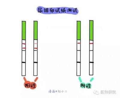 备孕篇:排卵期,你会推算吗?