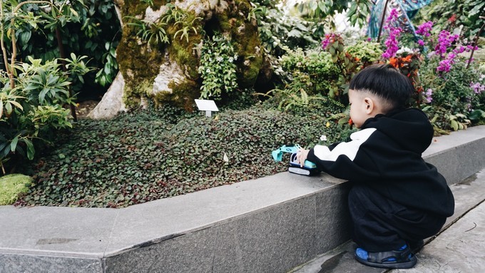 狮城新加坡自由行,新加坡7日游攻略