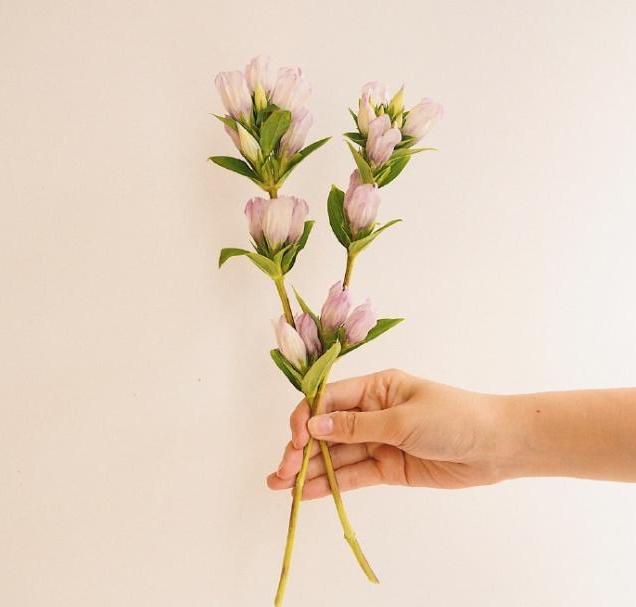 教师节贺卡祝福语简短精选,教师节贺卡祝福语简短大气