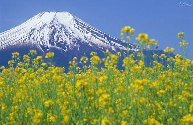 心中有爱满眼皆是美好,心中有爱眼里有光处处皆是胜景
