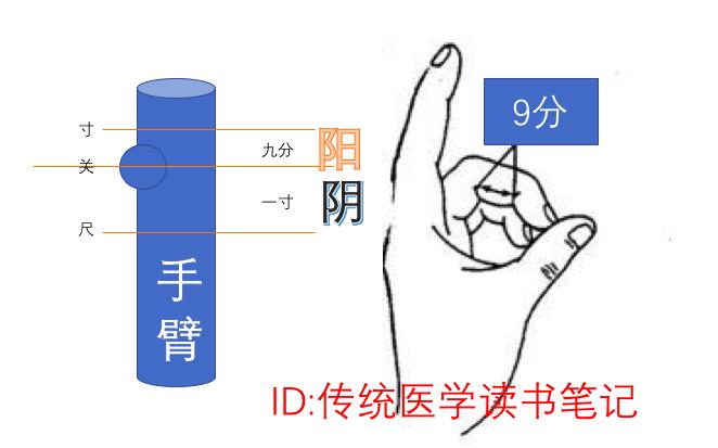 中医讲胃病的原因,中医解释胃病的原因