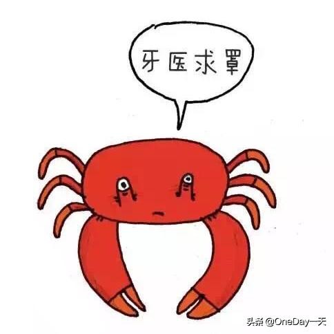 动物冷知识搞笑动画,搞笑动物冷知识22