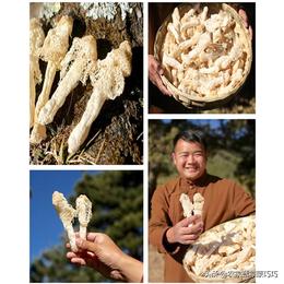 中国有几个昭通,中国有多少个昭通