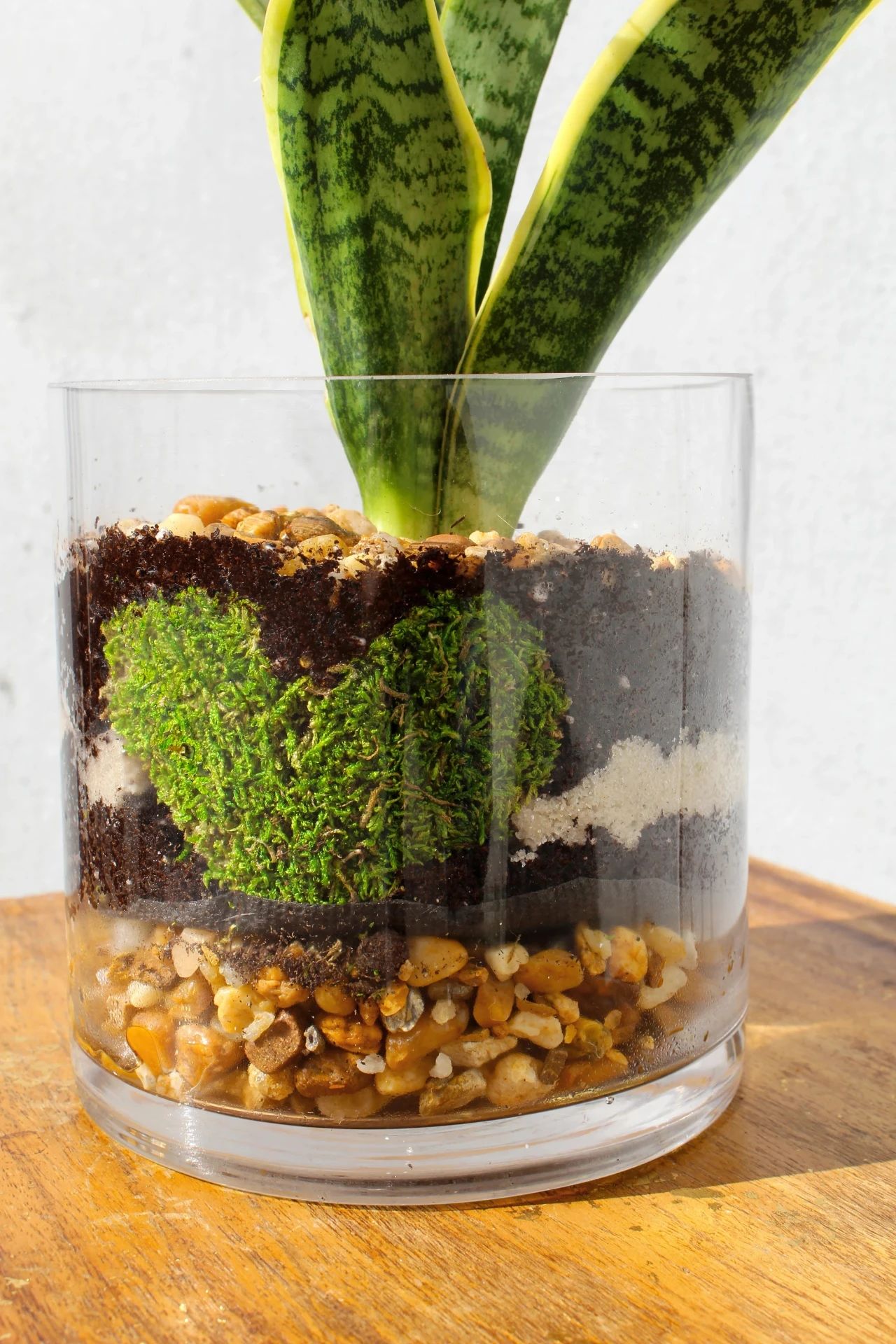 配制盆栽花土用什么土,在花盆里种植物怎么种