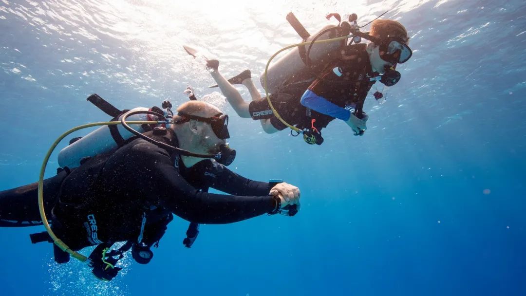 你多久没潜水了？做好这些，重燃对潜水的热情
