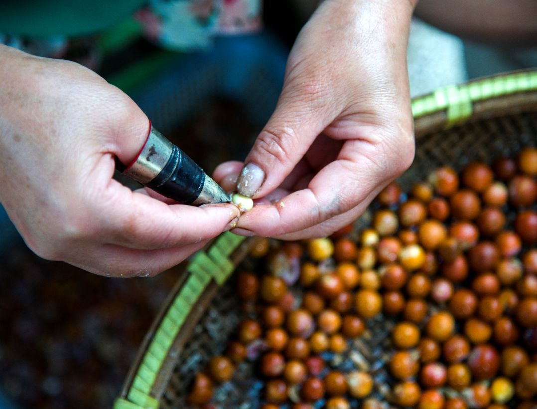 这“八仙”里,藏着最地道的江南味道