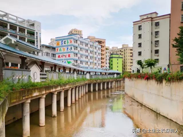 龙华有哪些街道,龙华村的由来