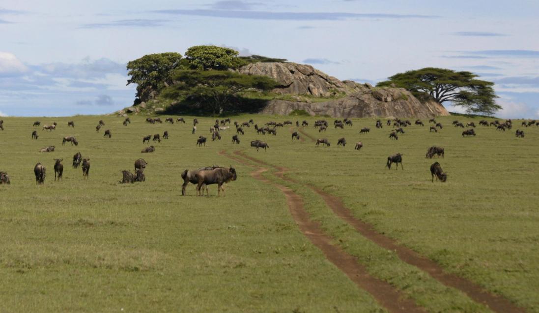 秋天适合去哪儿旅游,选择秋天去小兴安岭旅游的理由