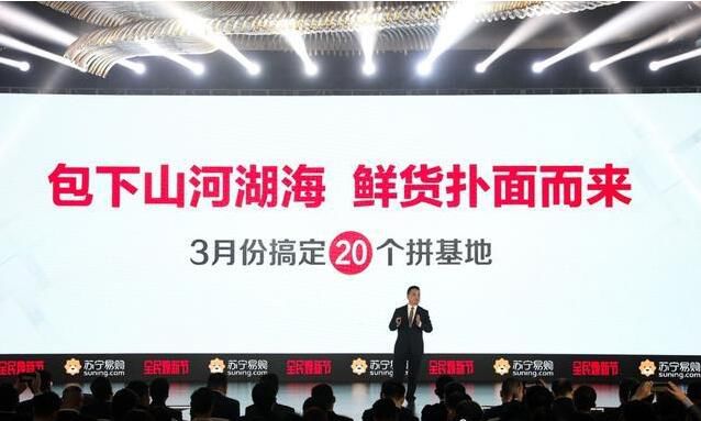 苏宁易购农村电商改进思路,苏宁电商发展历程