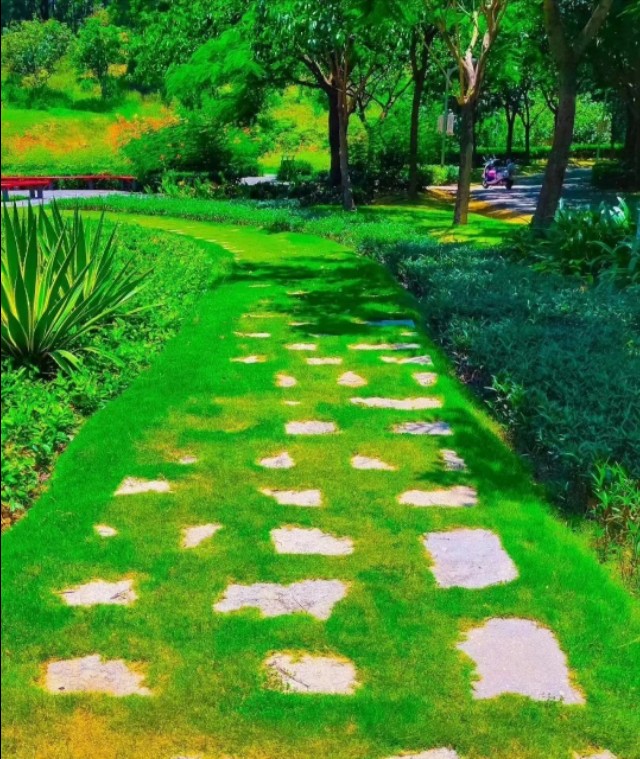 草长莺飞描写春天景色的七绝诗,暮春三月草长莺飞全诗