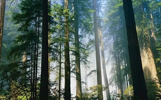 欧派全屋定制8万全包家具,欧派全屋定制19800套餐是全包吗