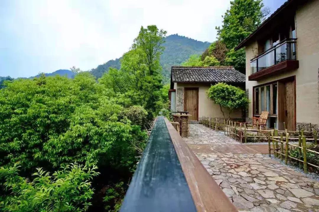 浙江最具有设计感的民宿,松阳全球十大必睡民宿