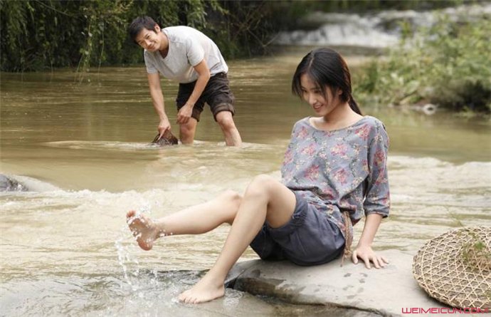 陈金飞杨采钰刘亦菲什么关系,刘亦菲陈金飞杨采钰真实关系揭秘