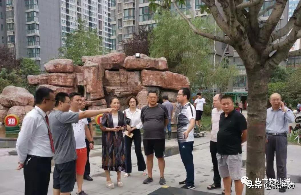 赞!旧貌换新颜,只因小区有了业主大会