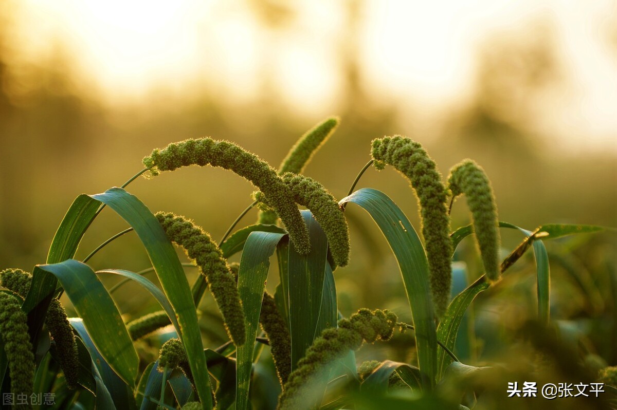 膯,在古代汉语中,意思吃得太多肚子难受,今天我们写作撑